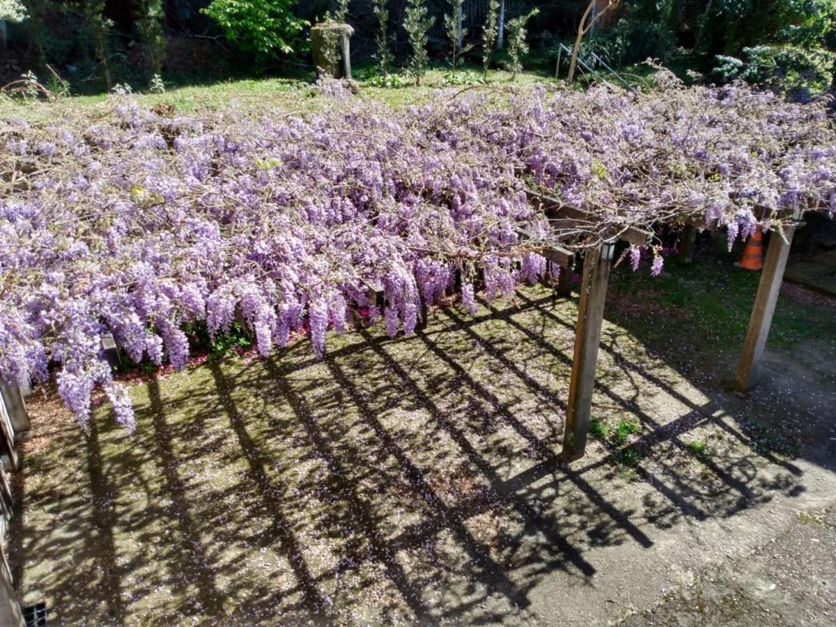 Apartamentos Aromas De Gramado - Bairro Centro Luaran gambar